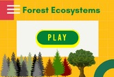 Forest Ecosystems Game Online